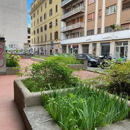 Saluzzo * Рим